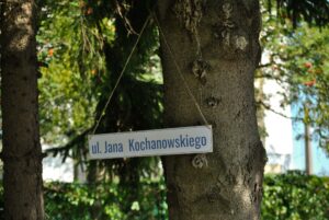 tabliczka z nazwą ulicy wisi na drzewie