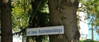 tabliczka z nazwą ulicy wisi na drzewie